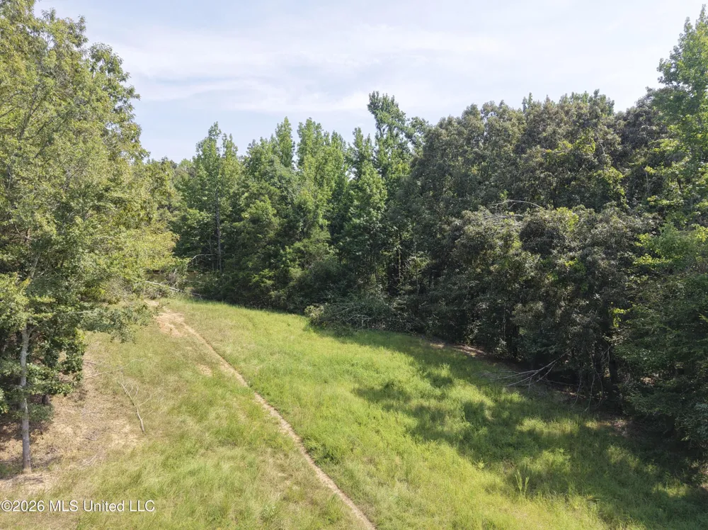 Still Road Sardis, MS 38666