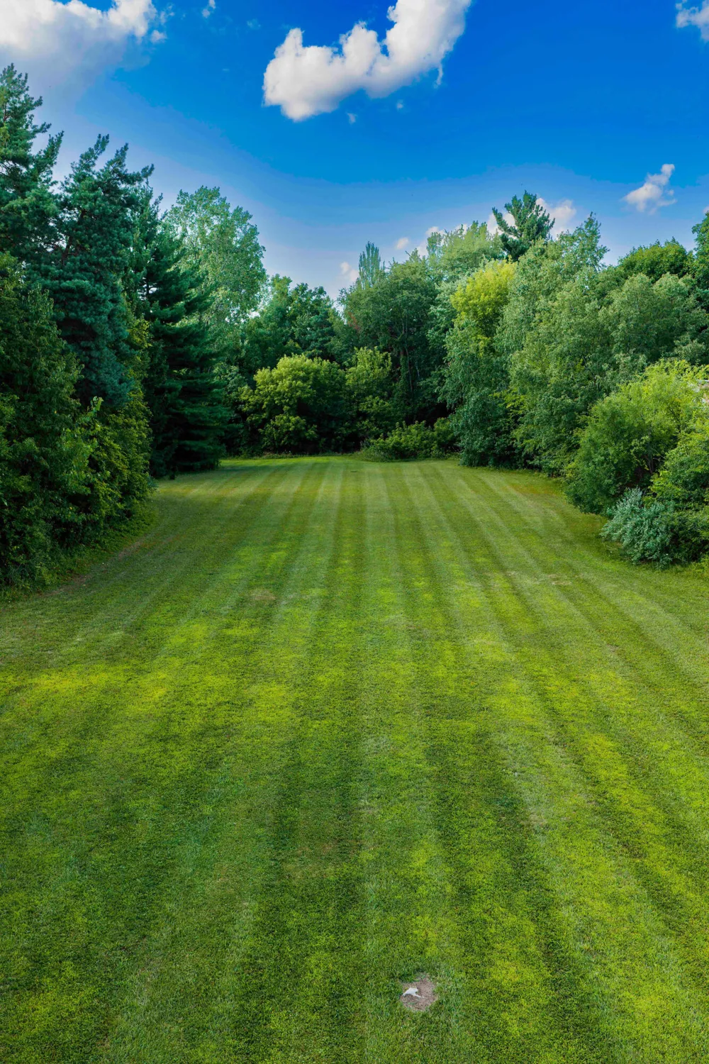 951 E Square Lake Troy, MI 48085