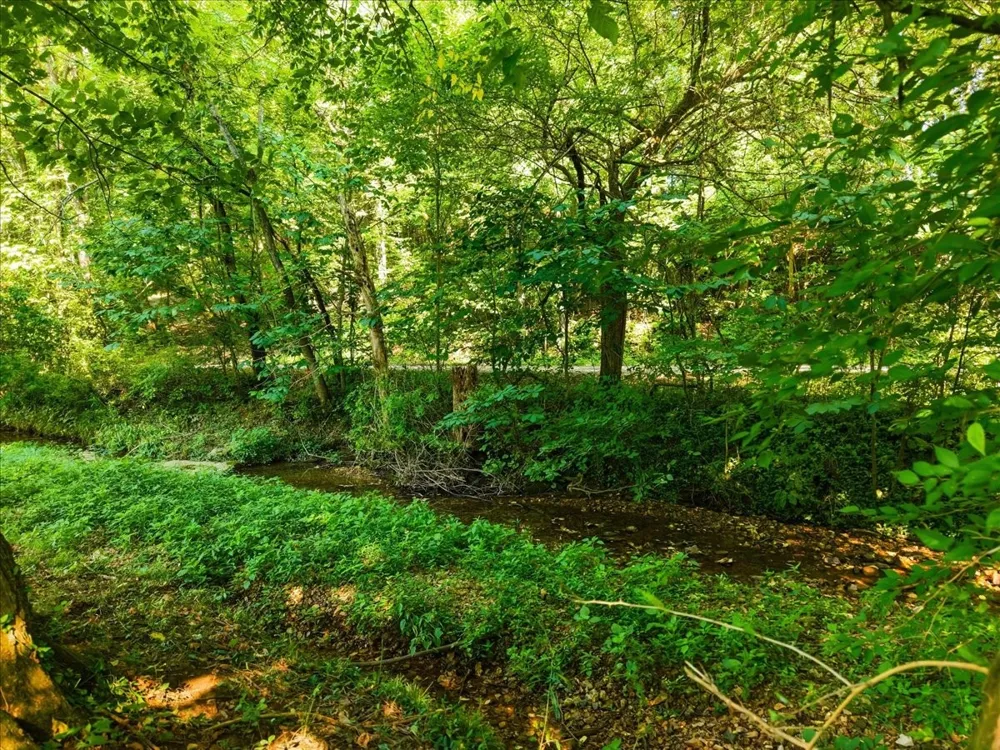 8175 Cedar Grove Rd Cross Plains, TN 37049