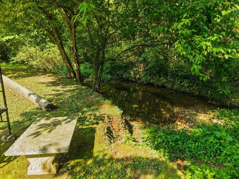 8175 Cedar Grove Rd Cross Plains, TN 37049