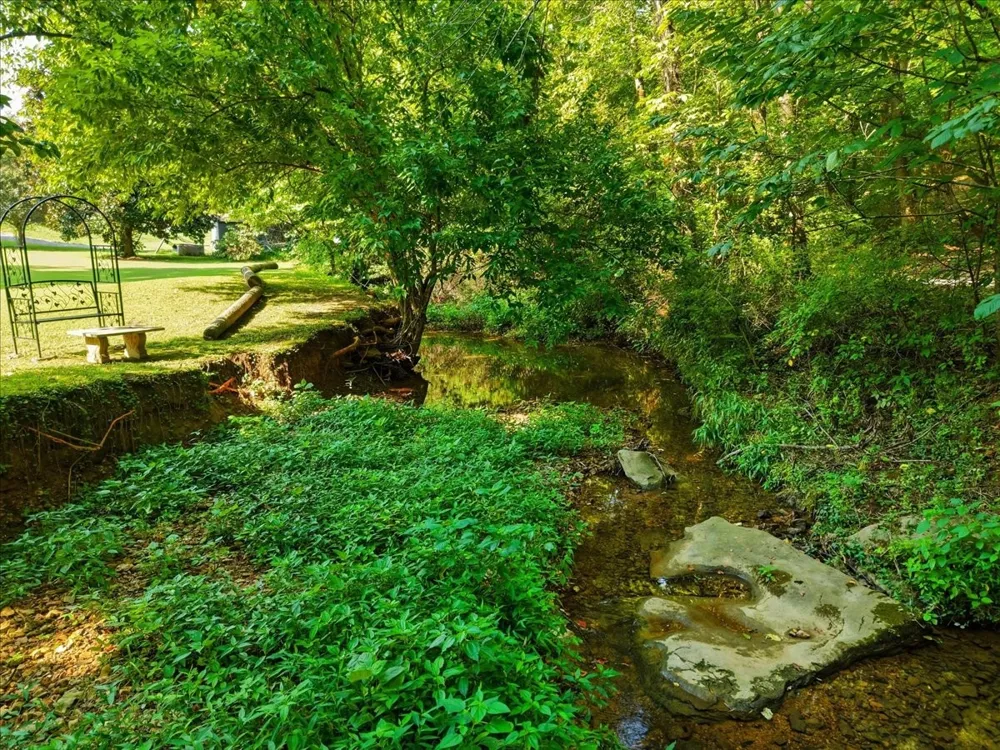 8175 Cedar Grove Rd Cross Plains, TN 37049