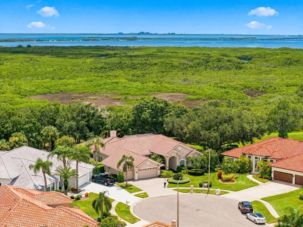 9802 MAKO COURT Tampa, FL 33615