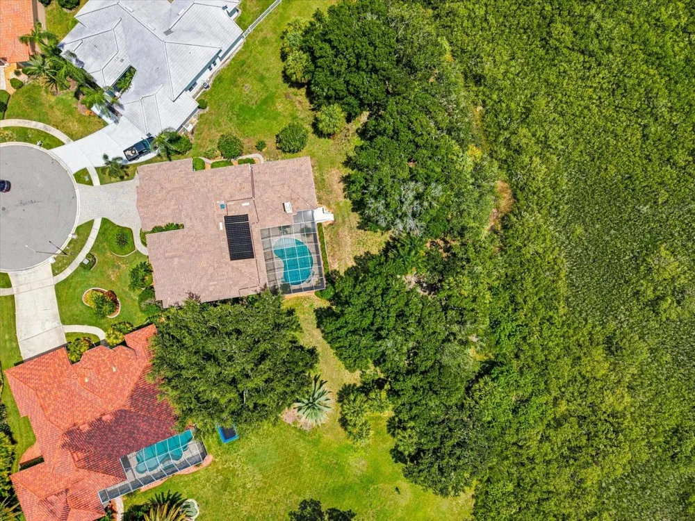 9802 MAKO COURT Tampa, FL 33615