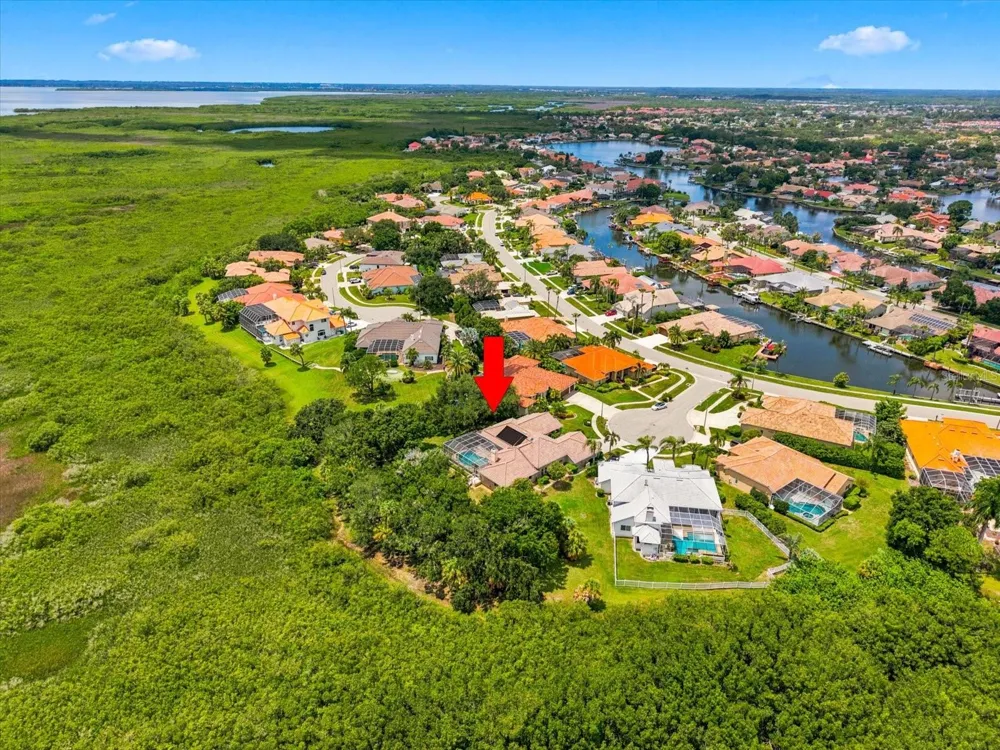 9802 MAKO COURT Tampa, FL 33615