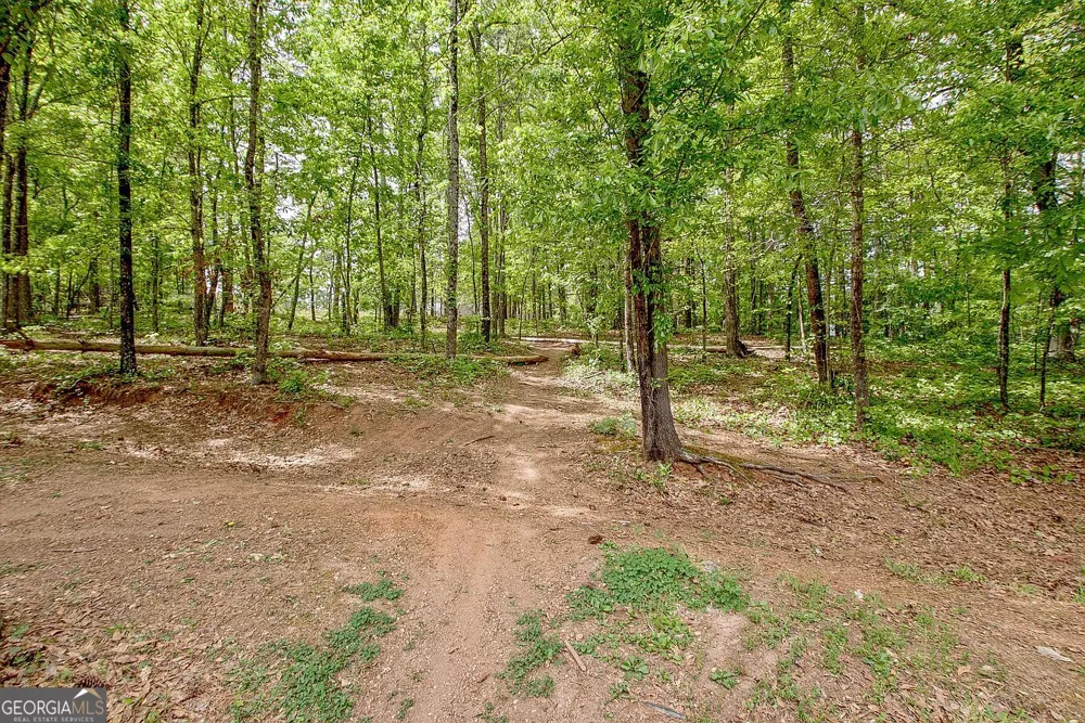 374 Persimmon DR Sharpsburg, GA 30277