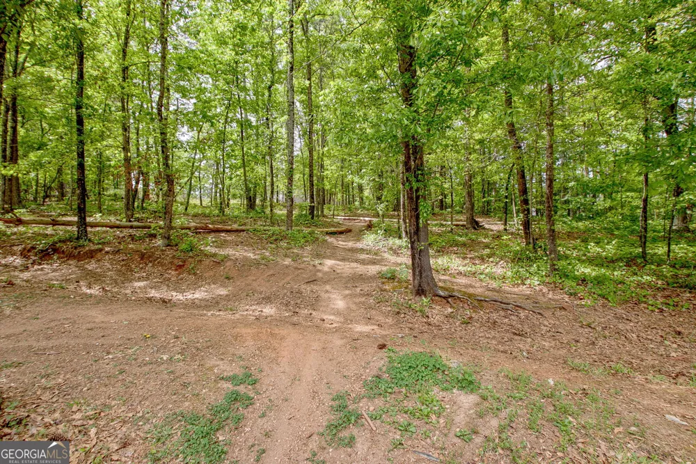374 Persimmon DR Sharpsburg, GA 30277