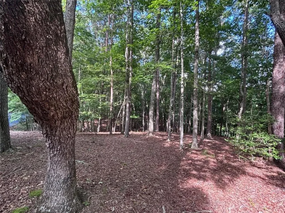 LOT 5 Westwood Avenue Blairsville, GA 30512