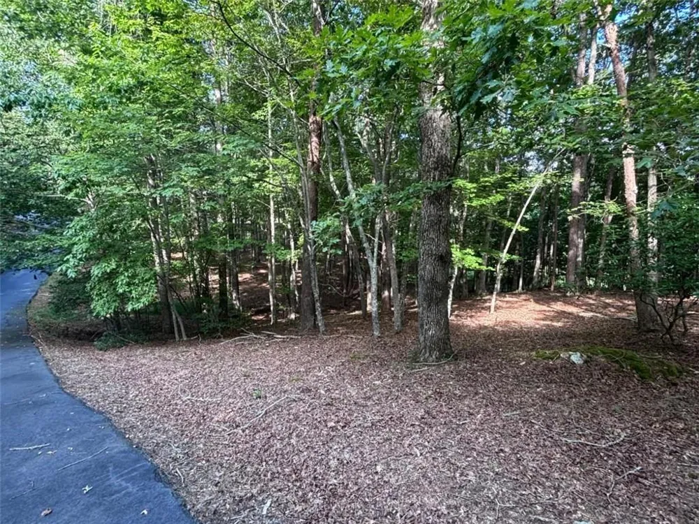 LOT 5 Westwood Avenue Blairsville, GA 30512