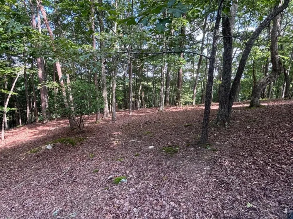 LOT 5 Westwood Avenue Blairsville, GA 30512