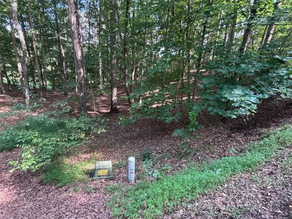 LOT 5 Westwood Avenue Blairsville, GA 30512