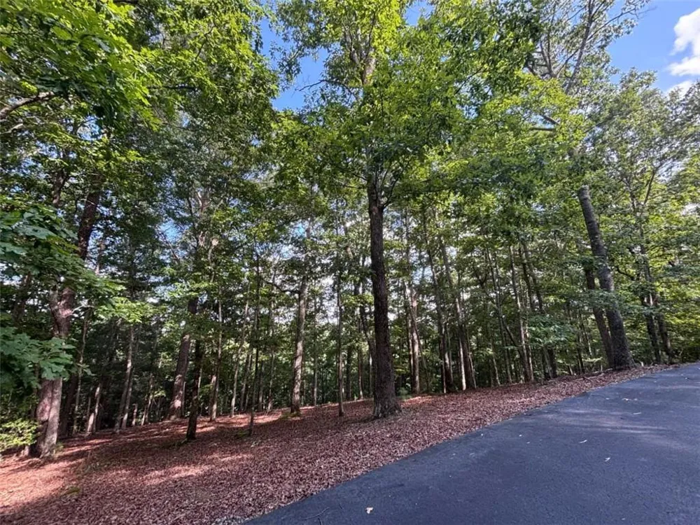 LOT 5 Westwood Avenue Blairsville, GA 30512