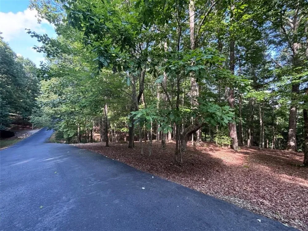 LOT 5 Westwood Avenue Blairsville, GA 30512