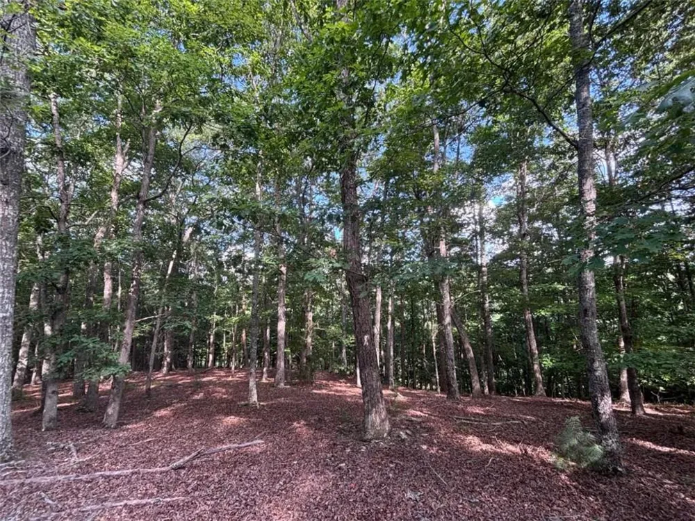 LOT 5 Westwood Avenue Blairsville, GA 30512