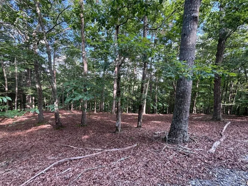 LOT 5 Westwood Avenue Blairsville, GA 30512