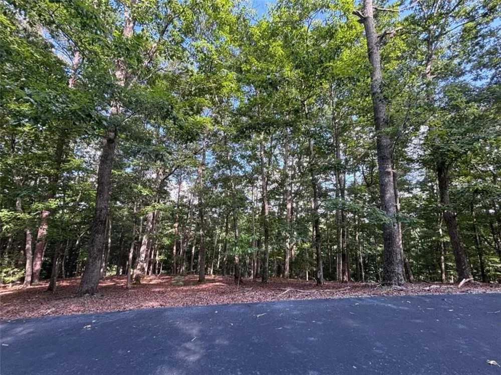 LOT 5 Westwood Avenue Blairsville, GA 30512