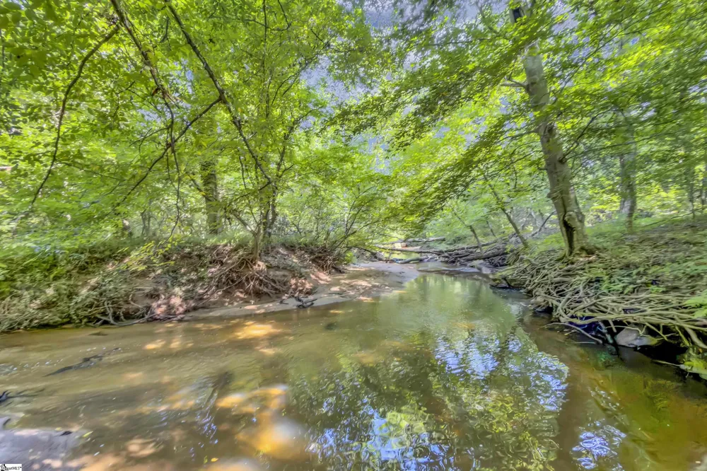 131 Browning Drive Greer, SC 29650