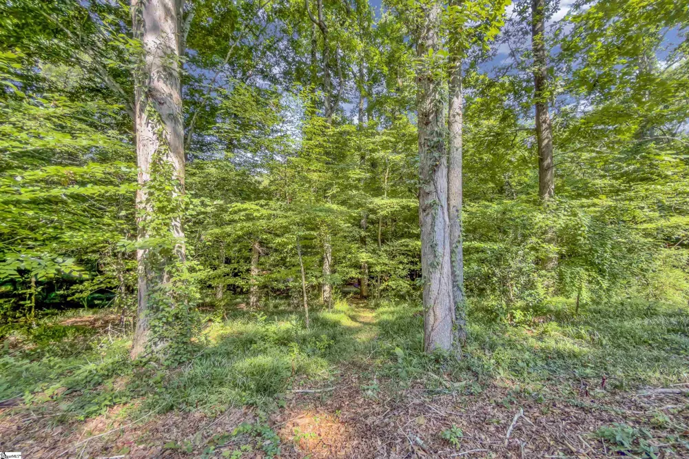 131 Browning Drive Greer, SC 29650