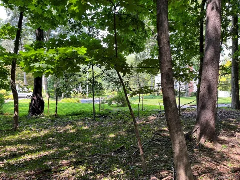 Forest Avenue