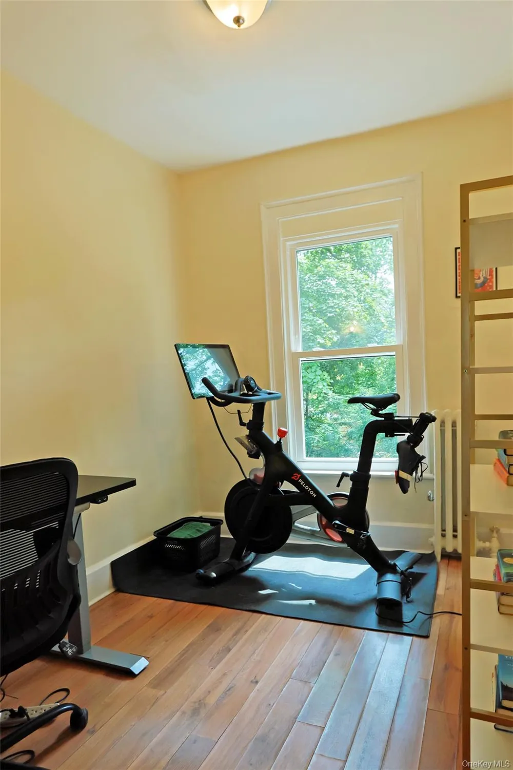 16 Elm Street Newburgh, NY 12550