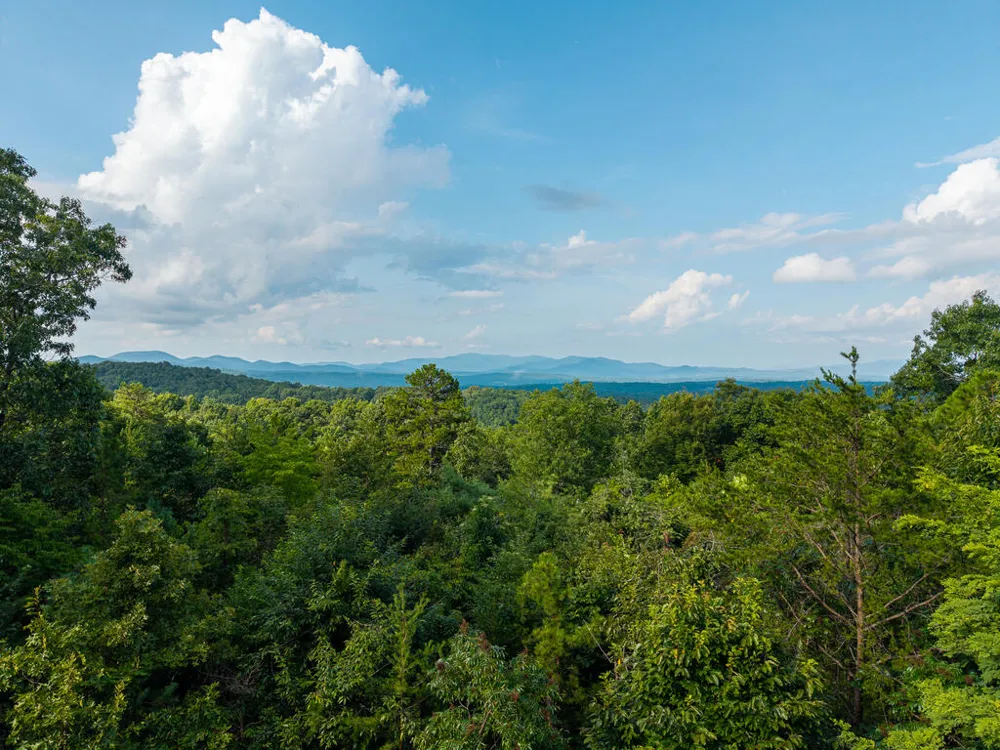 24 Oak Ledge Road Morganton, GA 30560