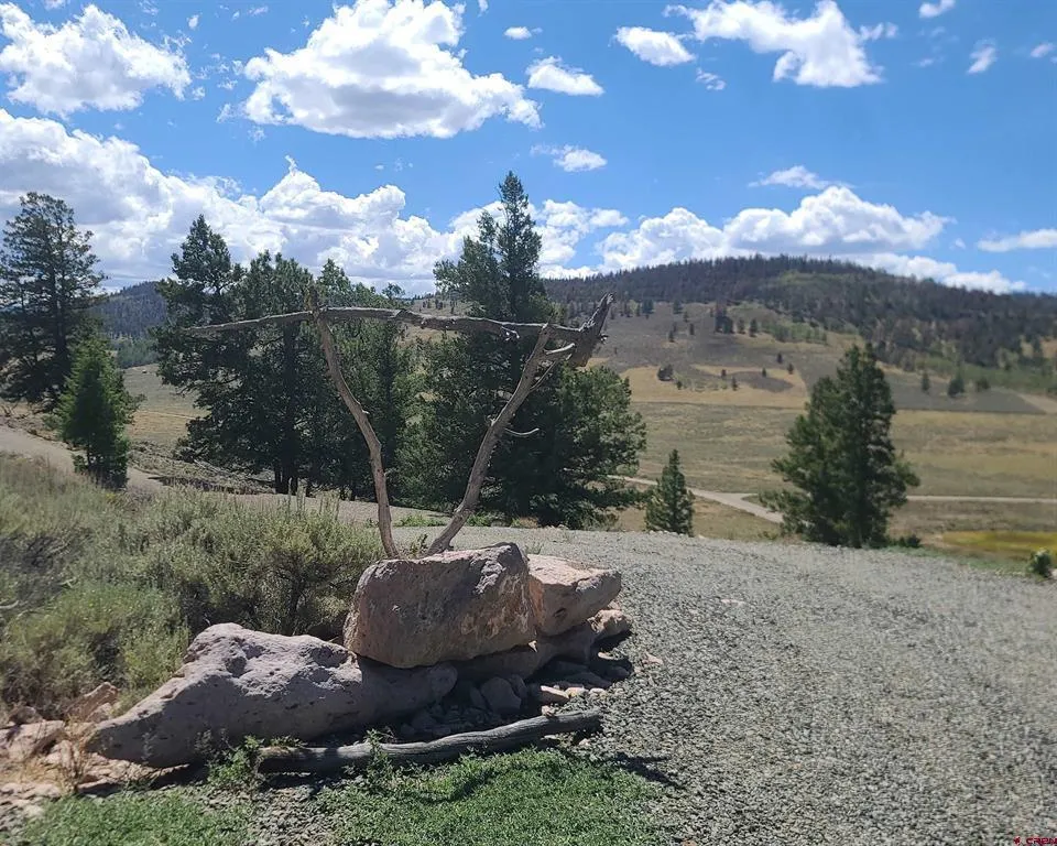 457 Castle Circle Powderhorn, CO 81243