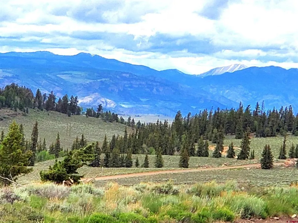 457 Castle Circle Powderhorn, CO 81243