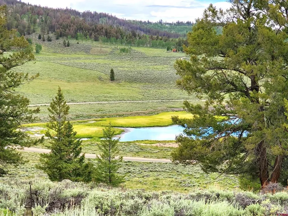 457 Castle Circle Powderhorn, CO 81243