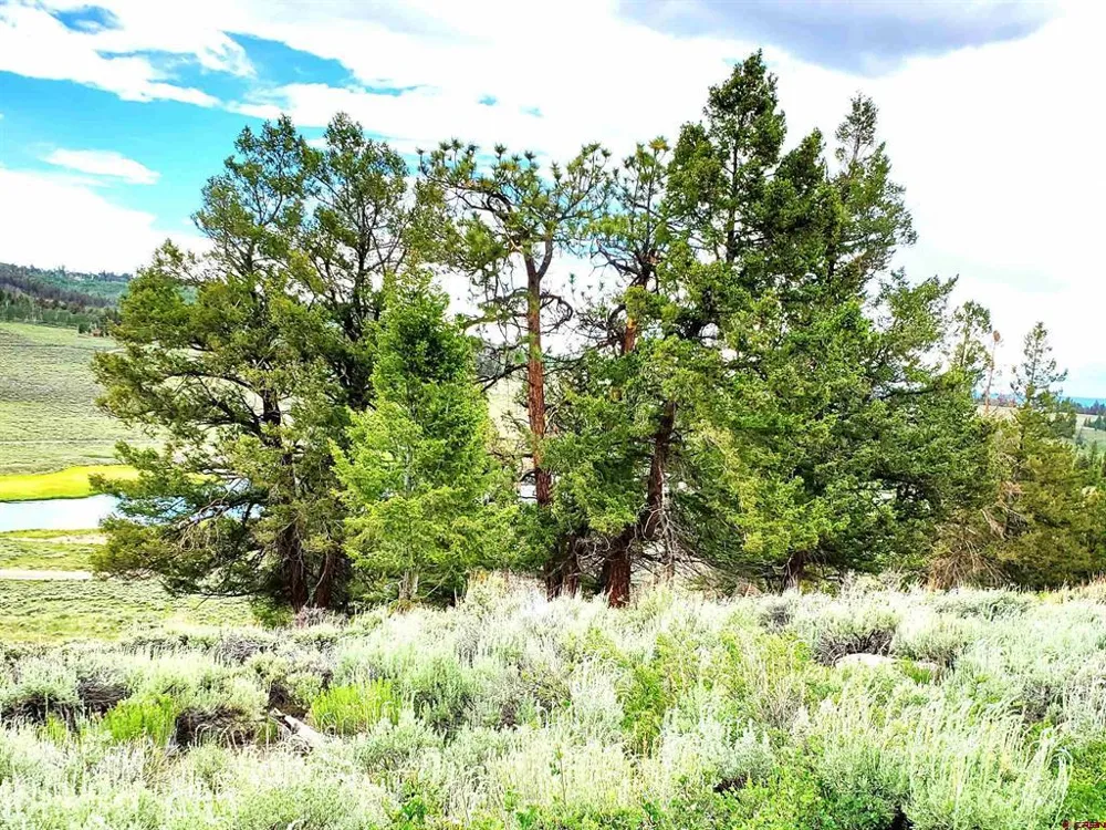457 Castle Circle Powderhorn, CO 81243