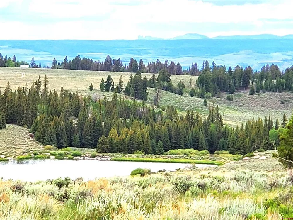 457 Castle Circle Powderhorn, CO 81243