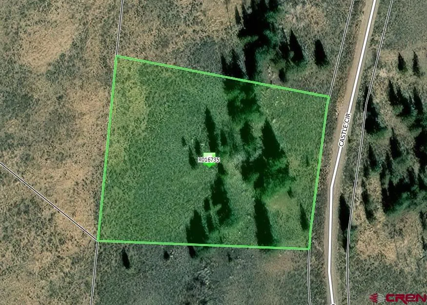 457 Castle Circle Powderhorn, CO 81243