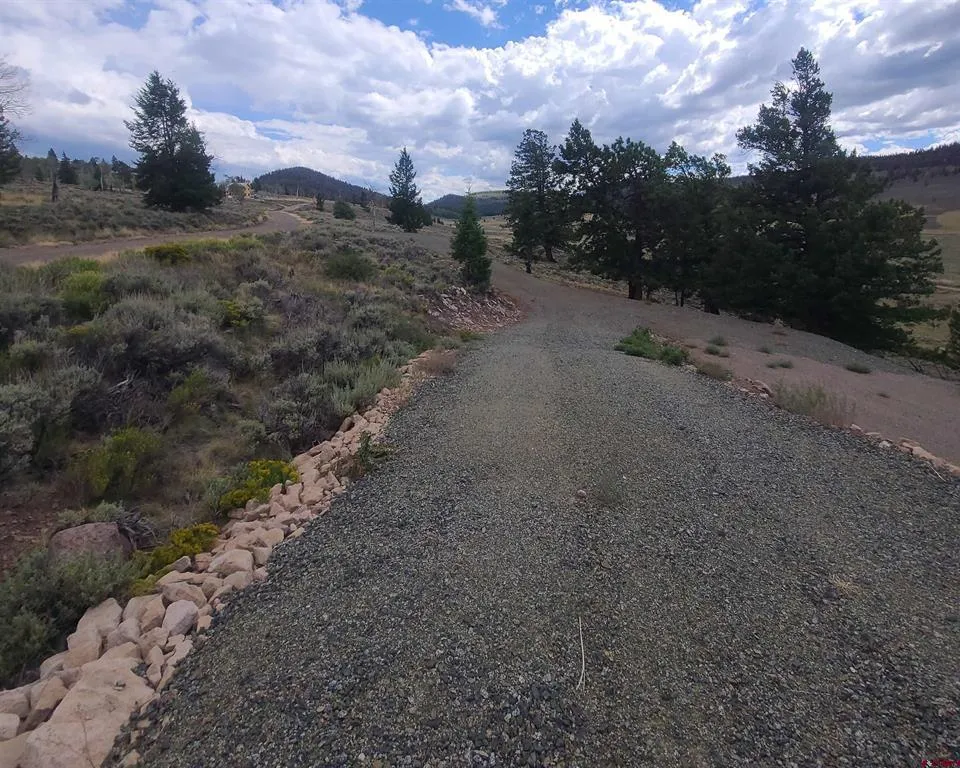 457 Castle Circle Powderhorn, CO 81243