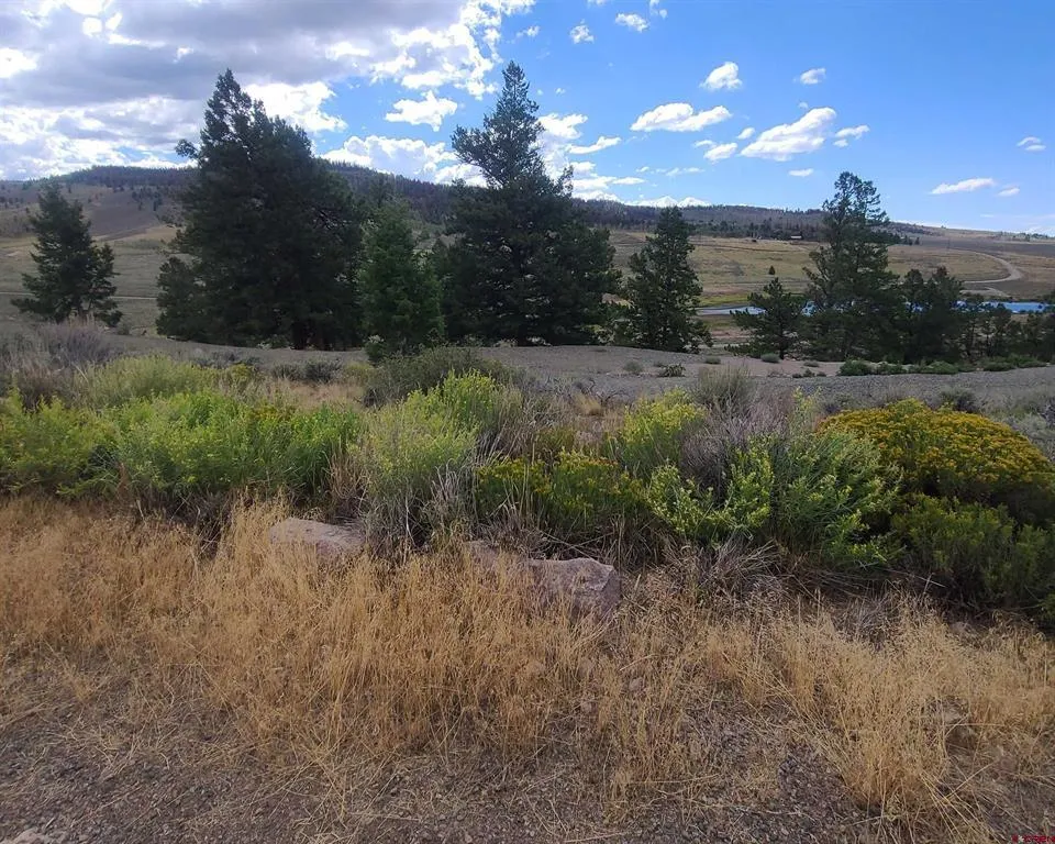 457 Castle Circle Powderhorn, CO 81243