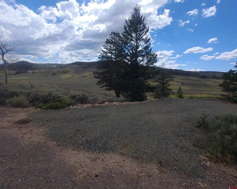 457 Castle Circle Powderhorn, CO 81243
