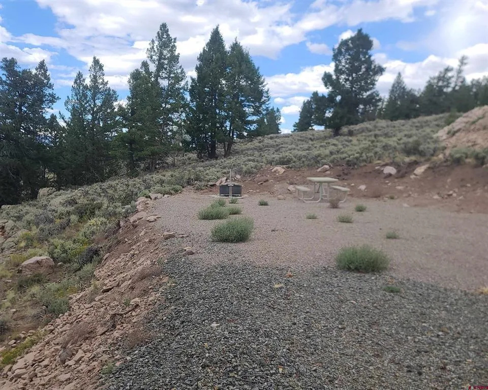 457 Castle Circle Powderhorn, CO 81243