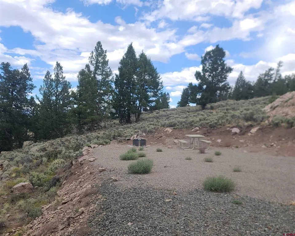 457 Castle Circle Powderhorn, CO 81243