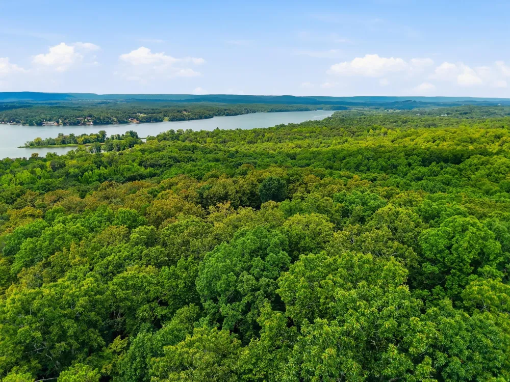 Address Not Shown Birchwood, TN 37308