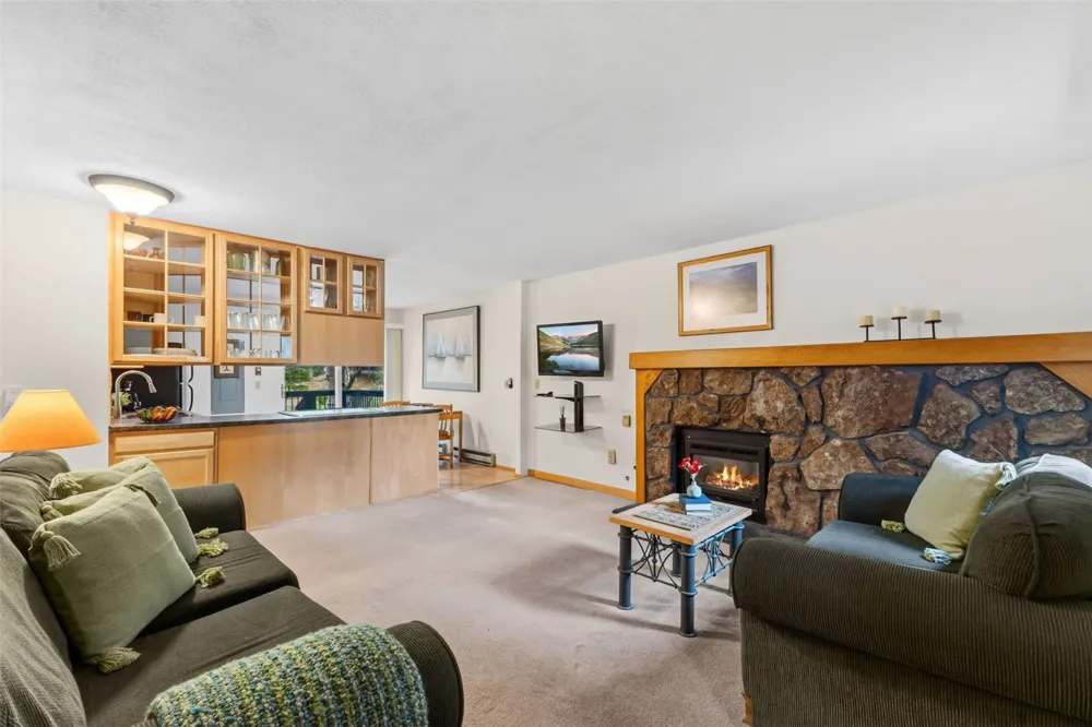 109 Hawn Drive #109 Frisco, CO 80443