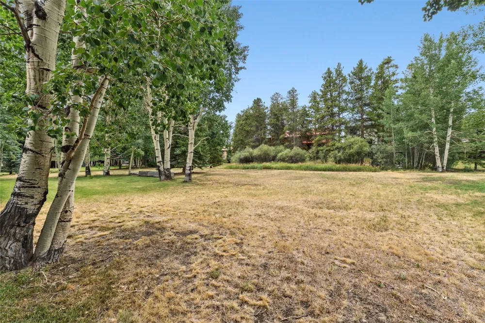 109 Hawn Drive #109 Frisco, CO 80443
