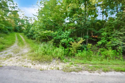 4 Cox Hollow Road