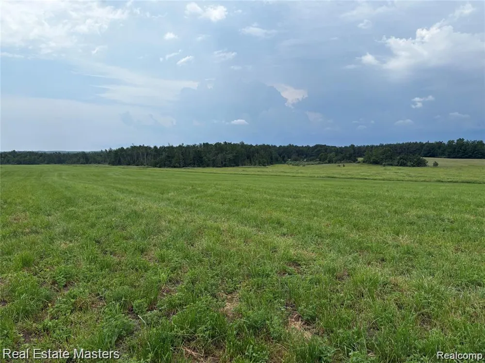 300 E Hubert Road Caledonia Township, MI 48762