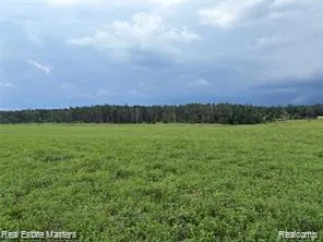 300 E Hubert Road Caledonia Township, MI 48762