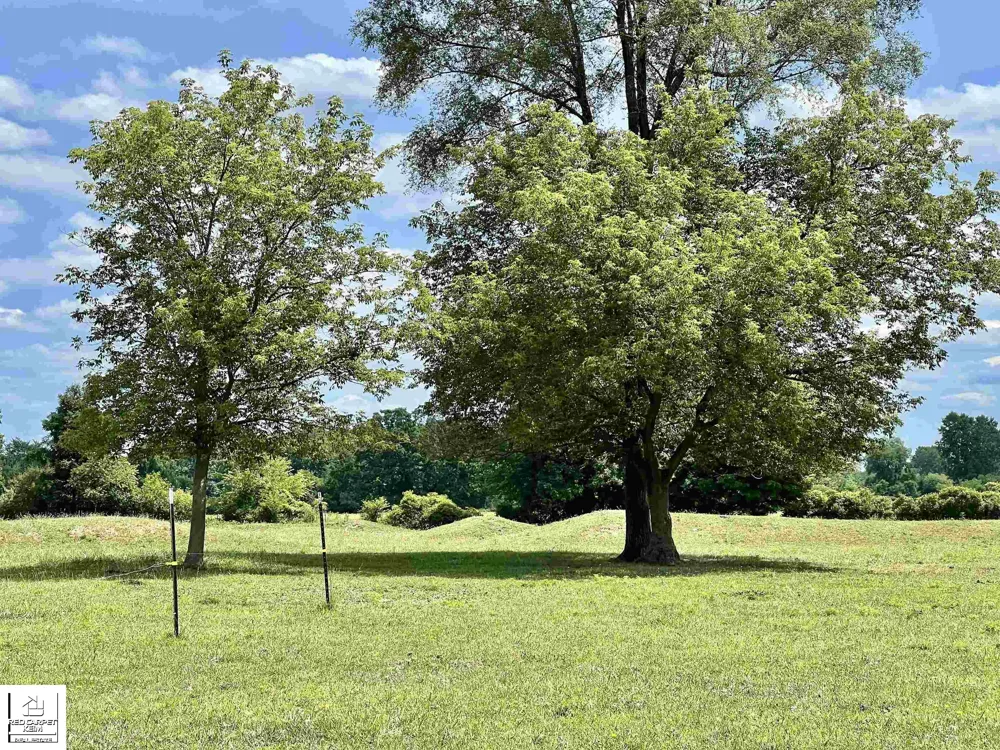 1528 Slater Road Mayfield Township, MI 48446