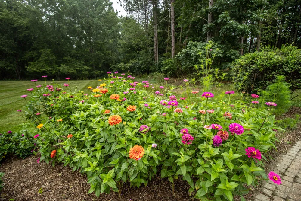 13138 White Lake Road Tyrone Township, MI 48430