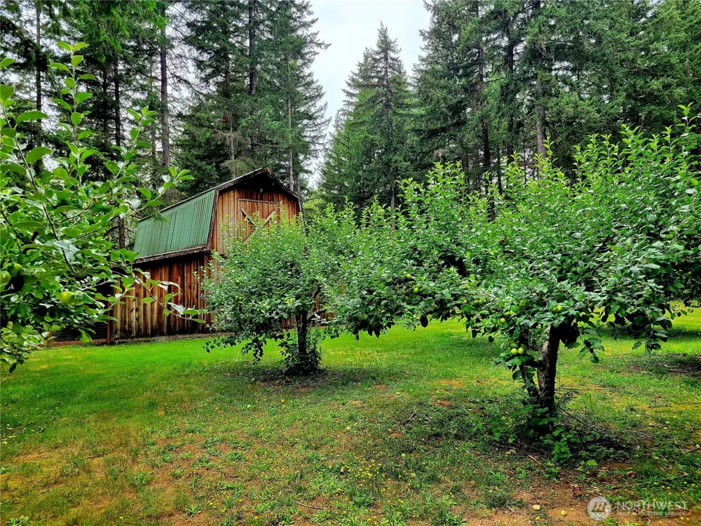 163 Eadon Road Toledo, WA 98591