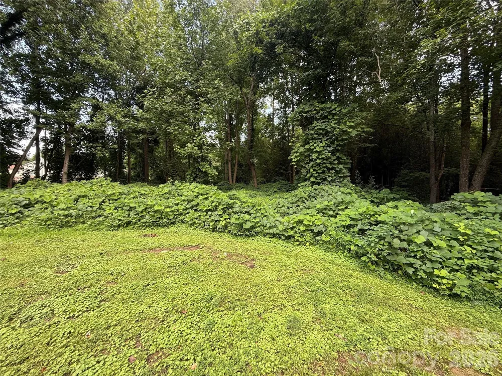 TBD Commercial Court NE Lenoir, NC 28645