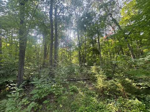 TBD Howard Lake Road NW