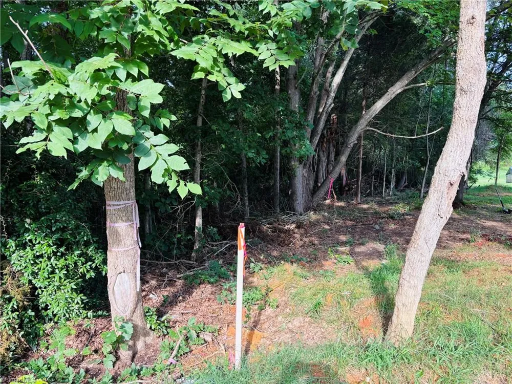 501 Columbia Avenue Ramseur, NC 27316
