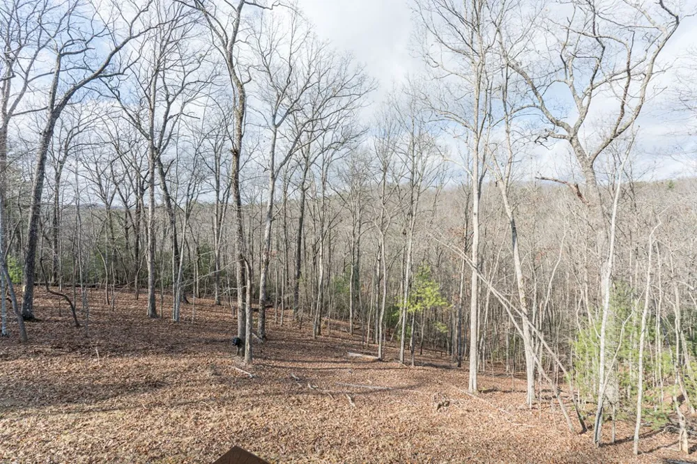 318 Tracks Hollow Murphy, NC 28906