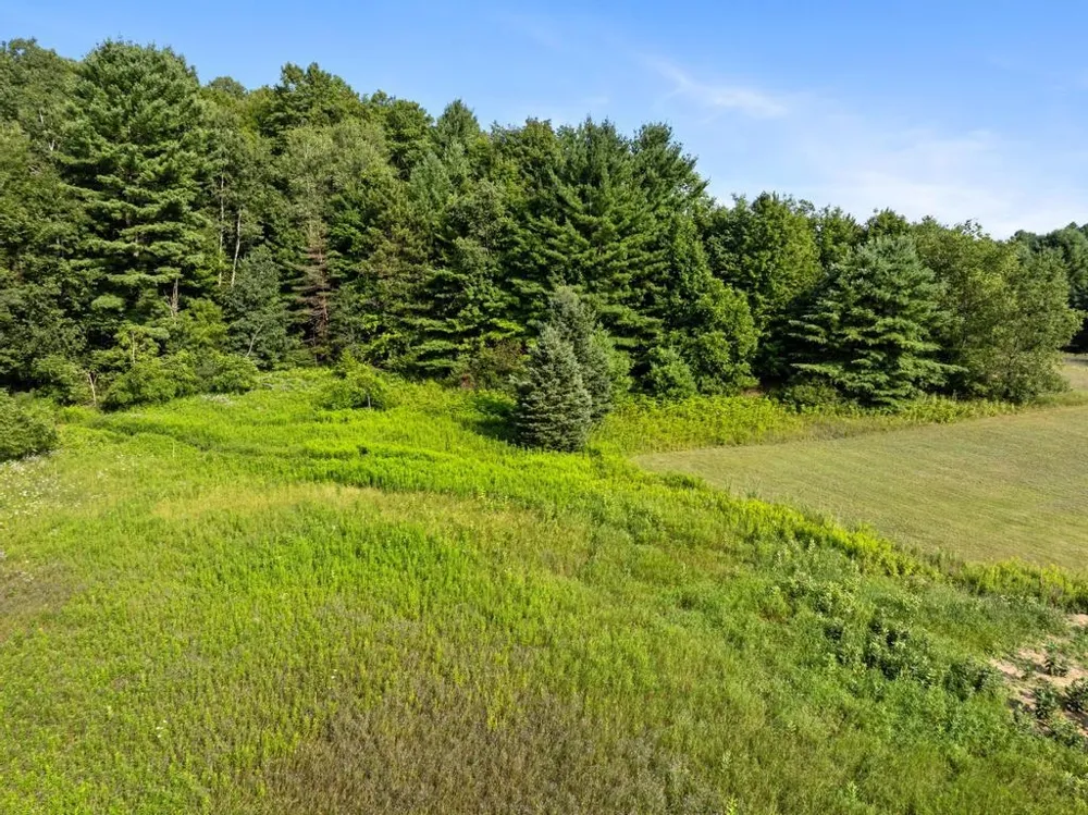 748 7th Street South Arm Township, MI 49727