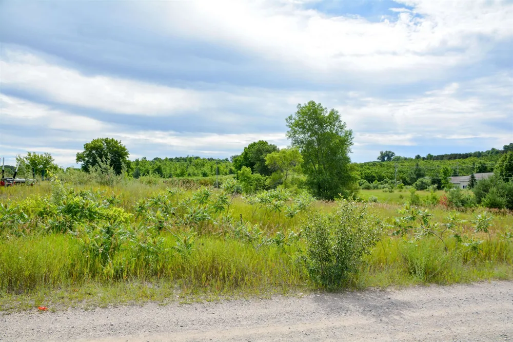 Denali Drive Long Lake Township, MI 49684